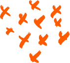 A group of orange squares on a black background.