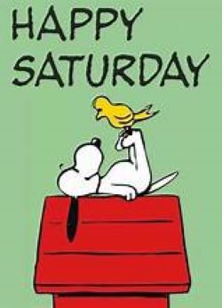 Happy Saturday snoopy cartoon with a bird
