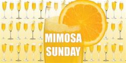 Mimosa sunday with orange slices and champagne glasses.