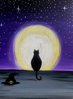 black cat in moonlight