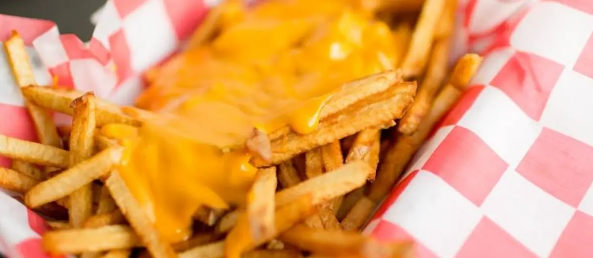 Seasoned Cheddar Fries at Black Parakeetz — Nyack NY